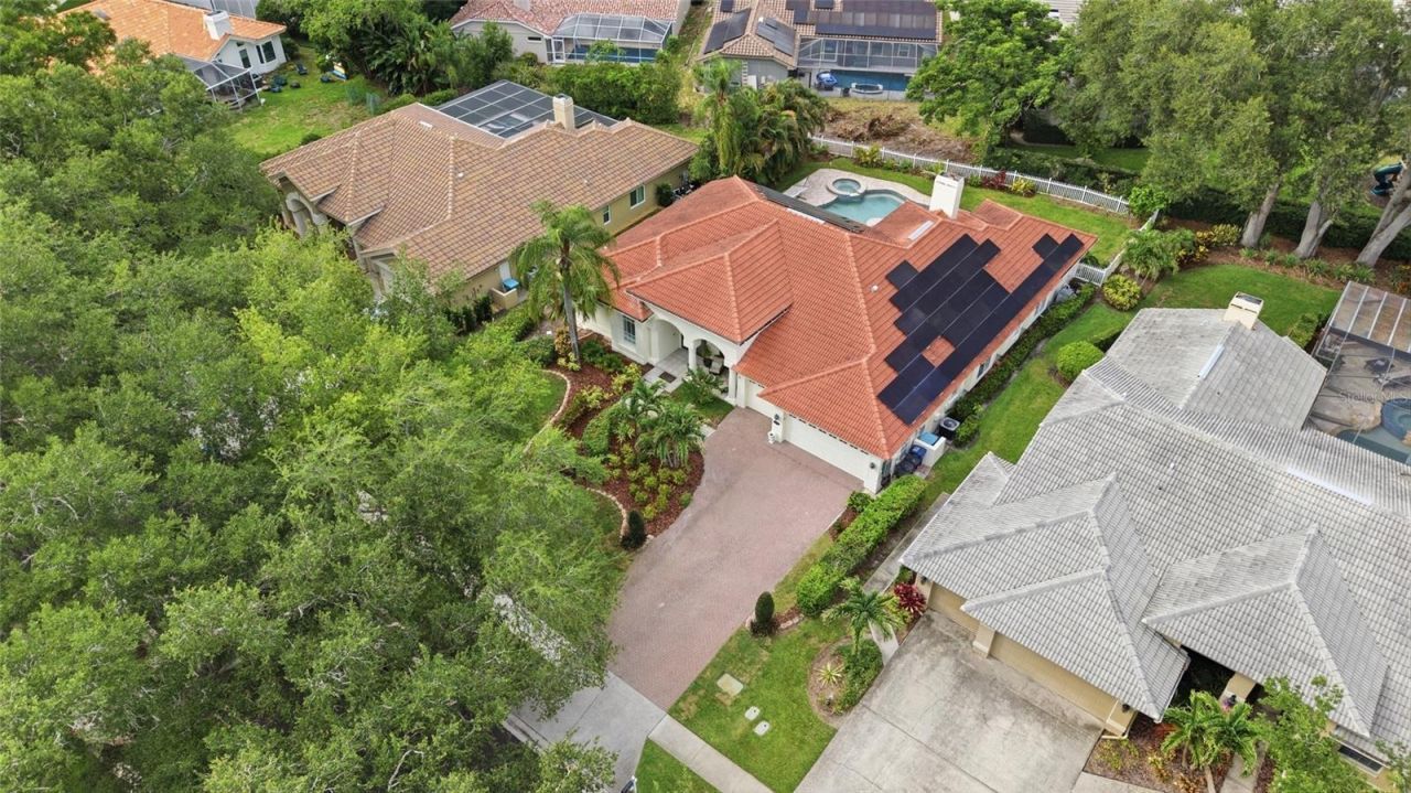 3459 Woodridge Parkway, Palm Harbor, FL 34684 Photo