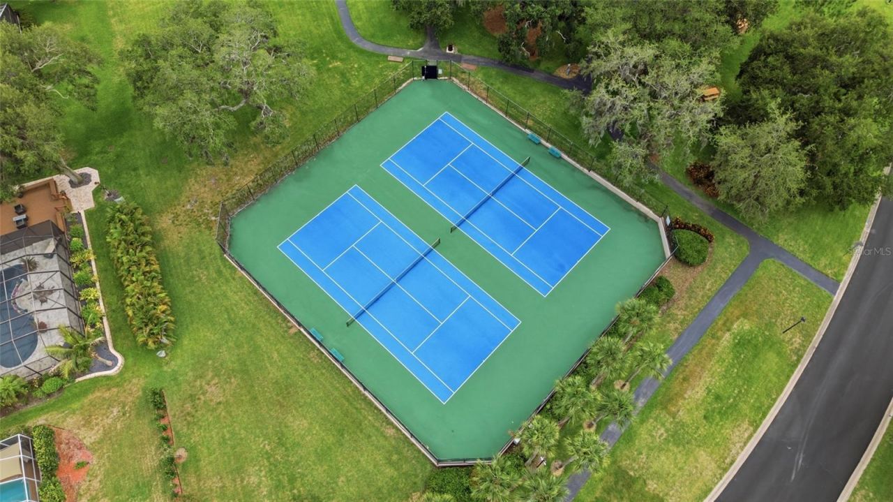 3459 Woodridge Parkway, Palm Harbor, FL 34684 Photo