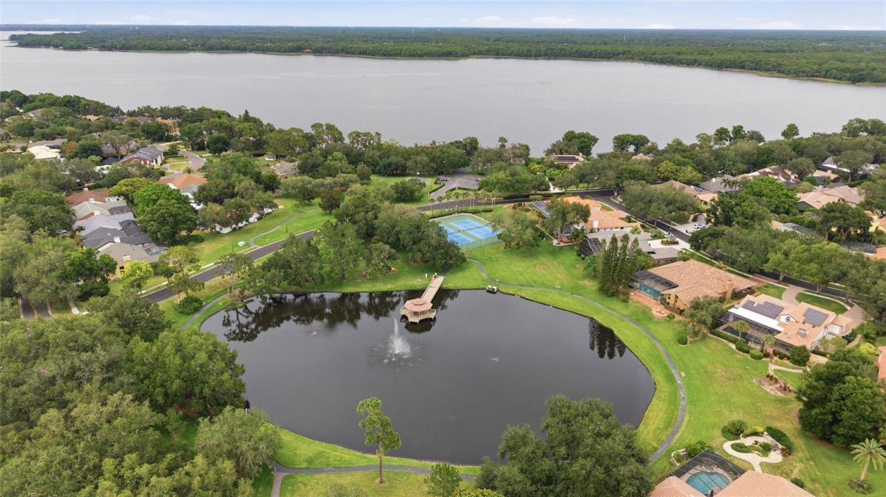 3459 Woodridge Parkway, Palm Harbor, FL 34684 Photo