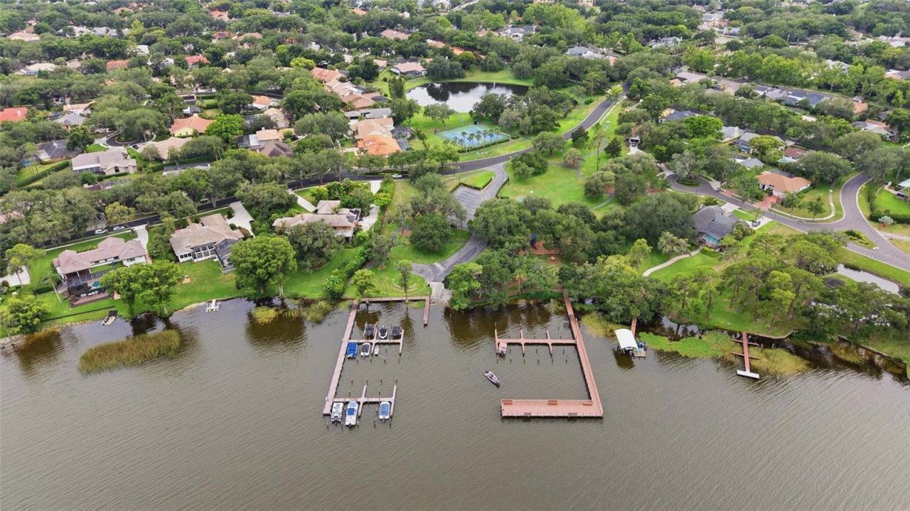 3459 Woodridge Parkway, Palm Harbor, FL 34684 Photo