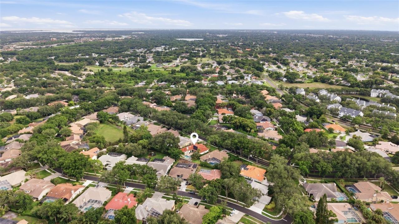 3459 Woodridge Parkway, Palm Harbor, FL 34684 Photo