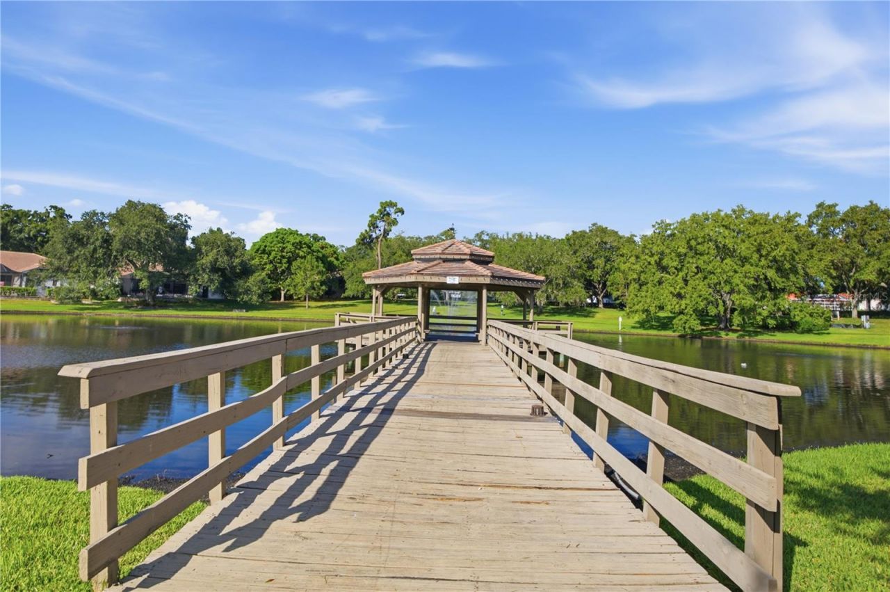 3459 Woodridge Parkway, Palm Harbor, FL 34684 Photo