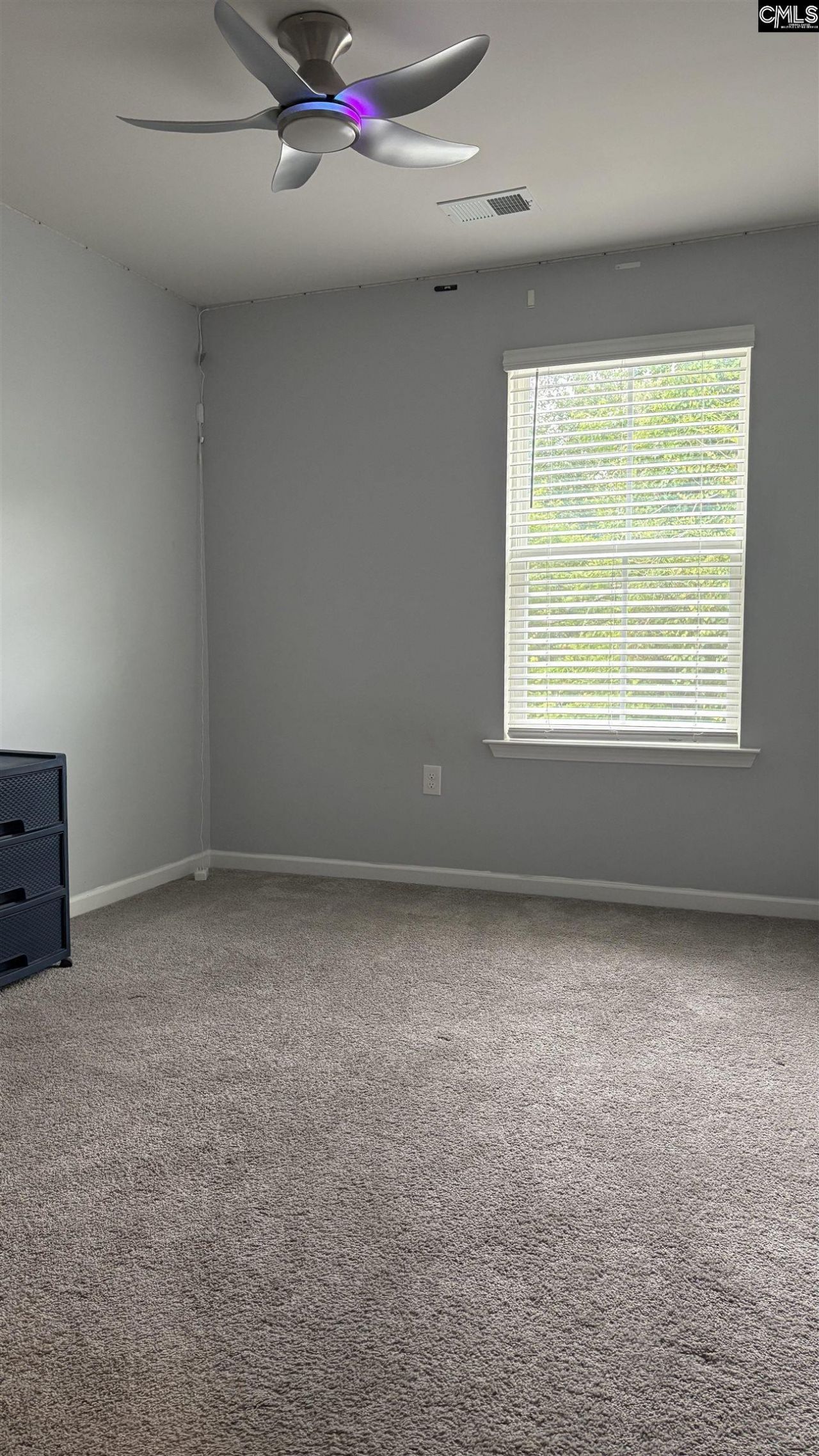 12 Almeda Court Photo 28