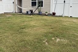 12 Almeda Court photo 4