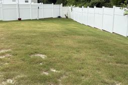 12 Almeda Court photo 4