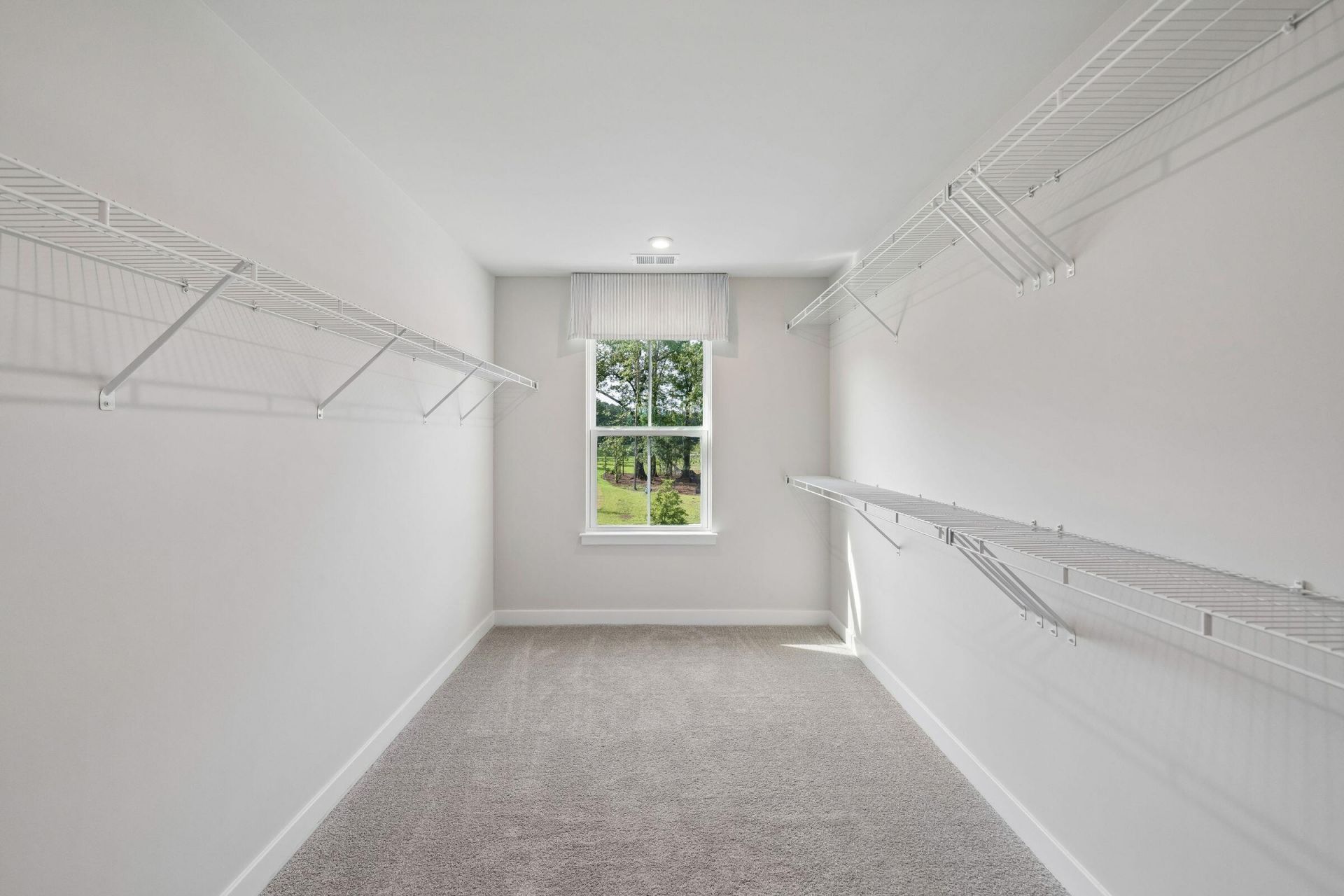1018 Lacebark Drive Photo 27