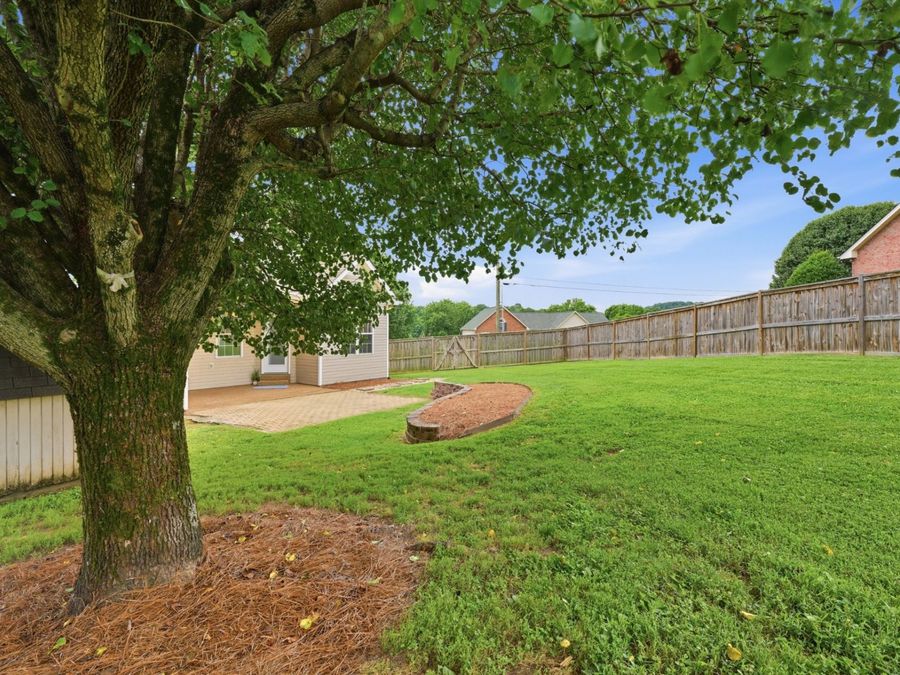 Property Image 53