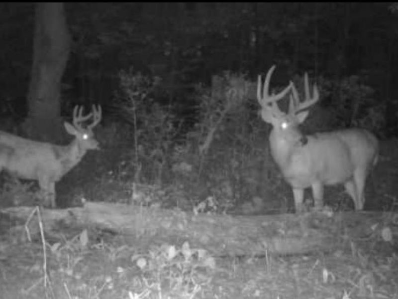 7460 N US HWY 68, Wilmington, OH 45177 Photo 47