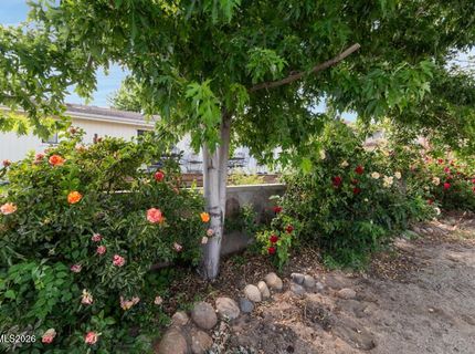 15 Connie Way, Reno, NV 89521 Photo