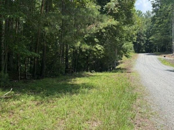 LT 3662 Hannah Court, Ellijay, GA 30540