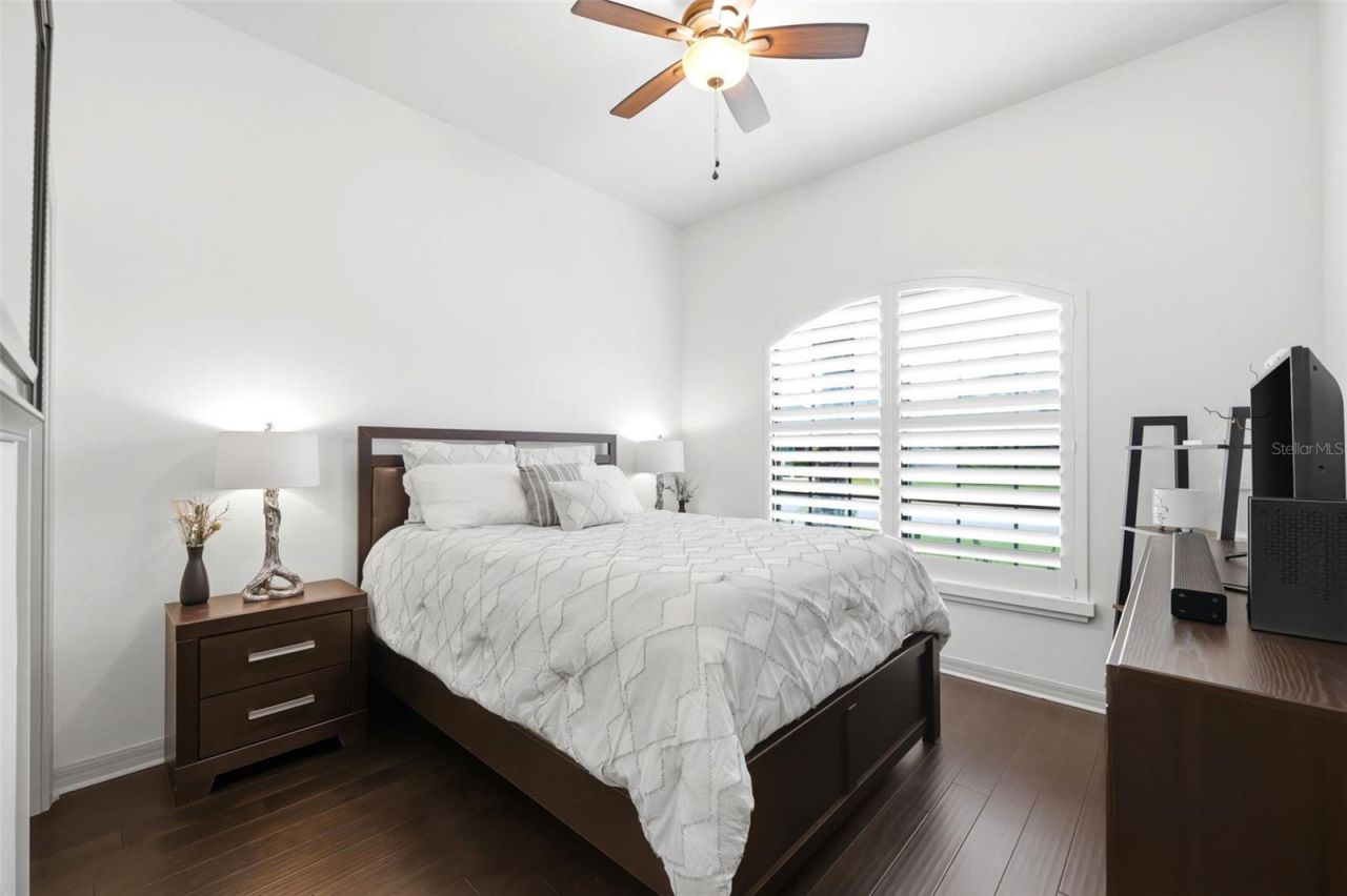 1115 Ketzal Drive, Trinity, FL 34655 Photo