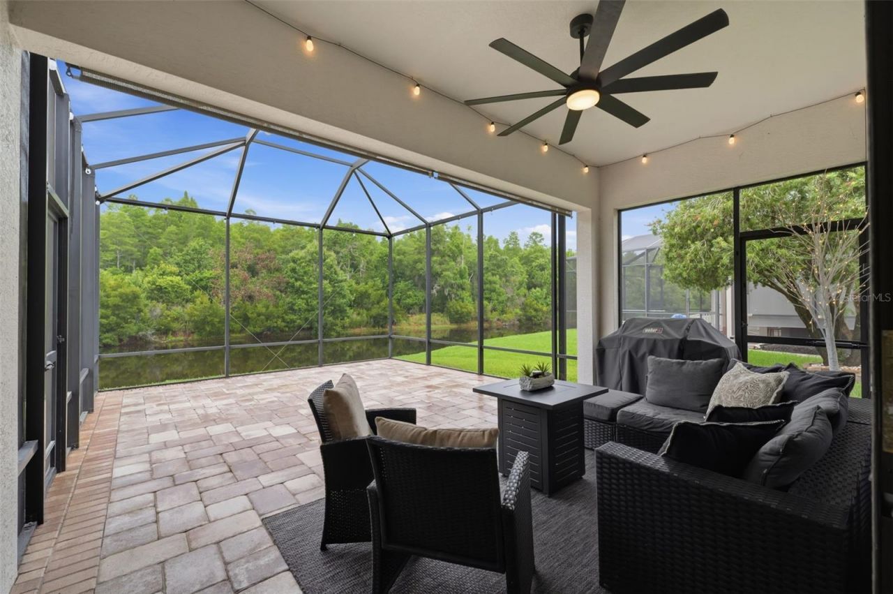 1115 Ketzal Drive, Trinity, FL 34655 Photo