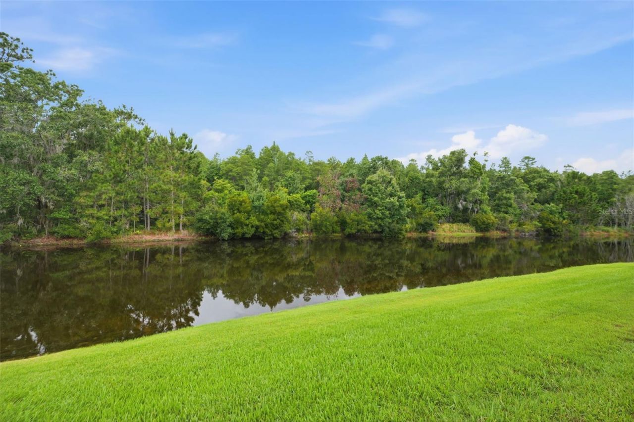 1115 Ketzal Drive, Trinity, FL 34655 Photo