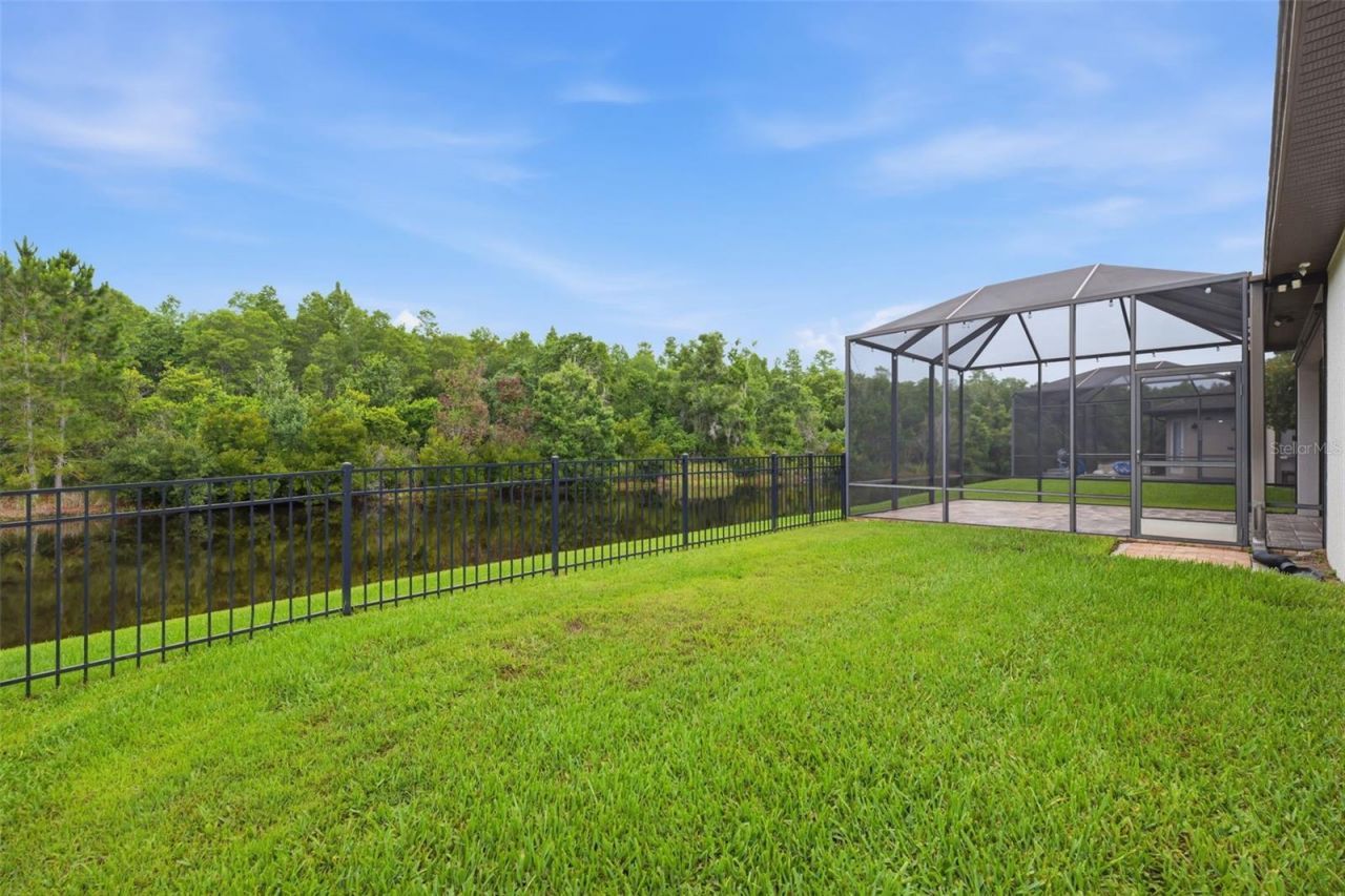 1115 Ketzal Drive, Trinity, FL 34655 Photo