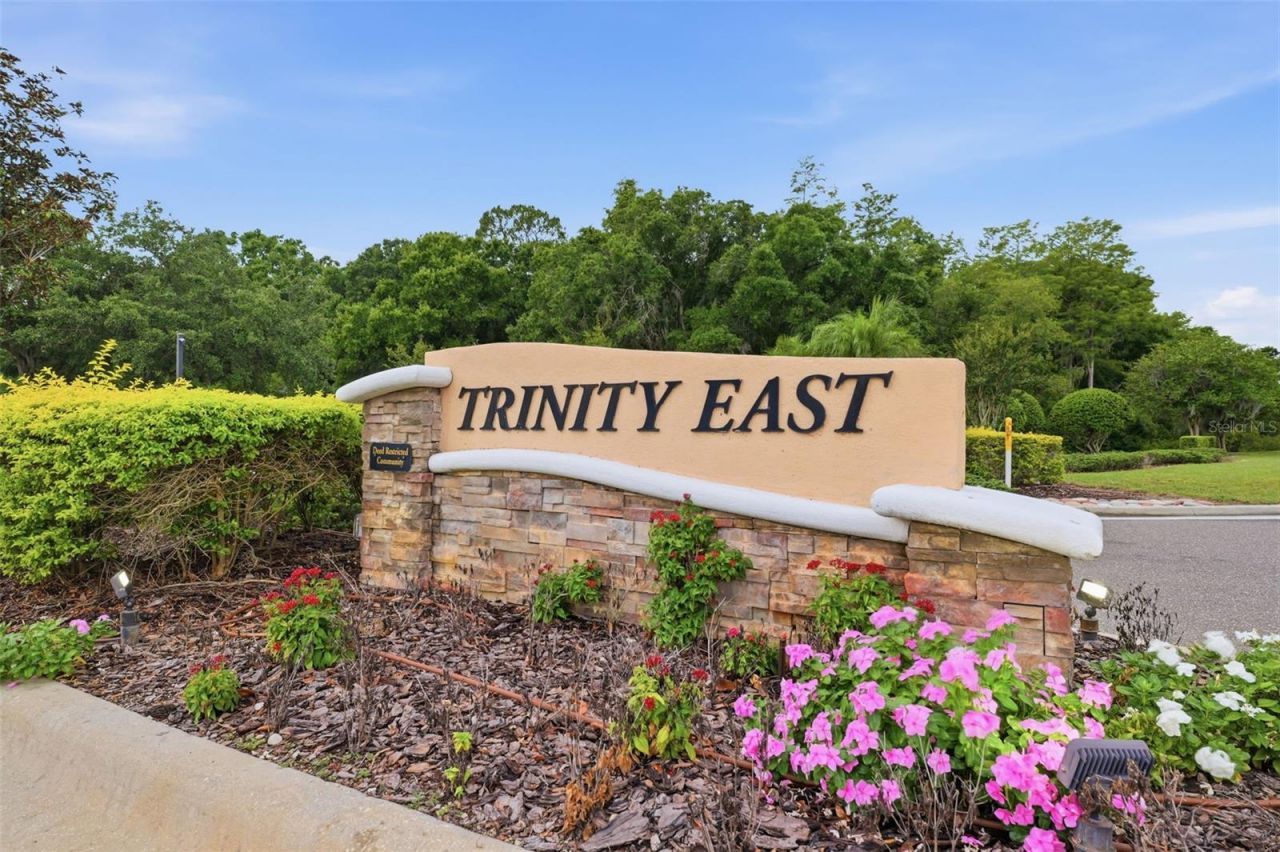 1115 Ketzal Drive, Trinity, FL 34655 Photo
