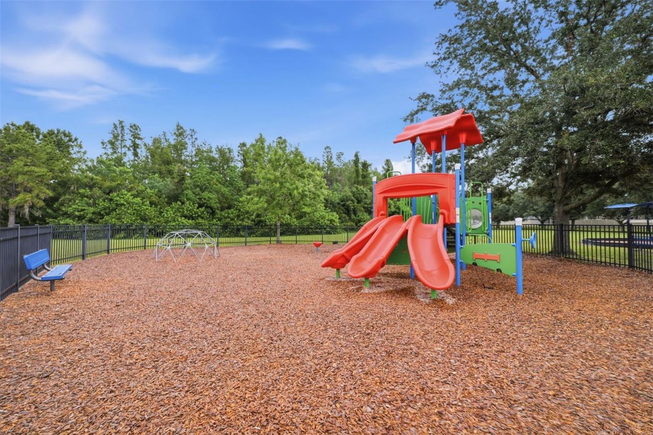 1115 Ketzal Drive, Trinity, FL 34655 Photo