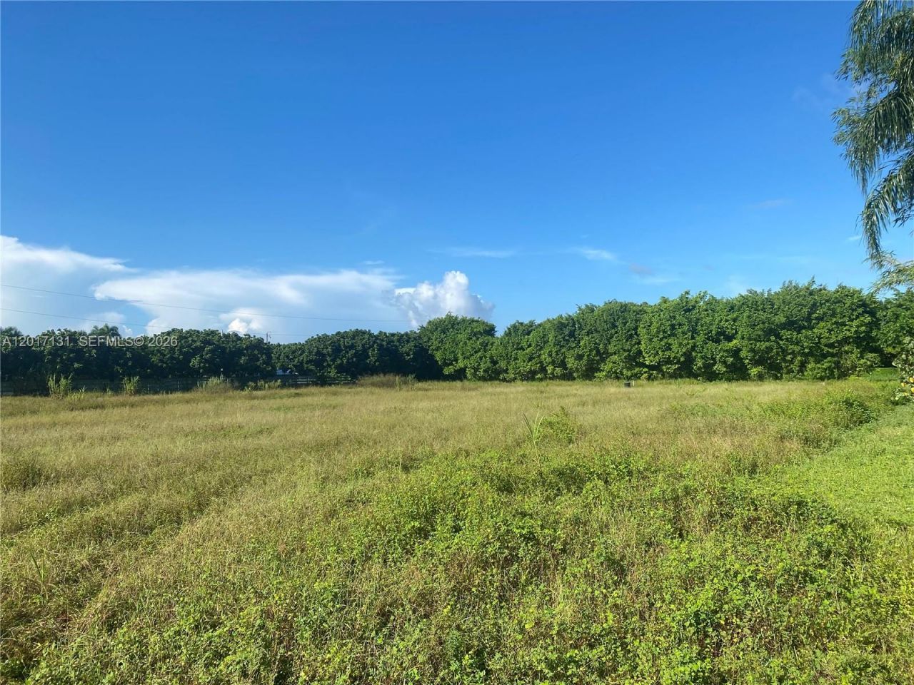 Sw 246 SW 187 Ave , Miami, FL 33031 Photo
