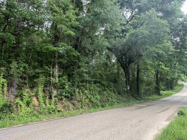 TBD Sie Jenkins Road, Bogalusa, LA 70427