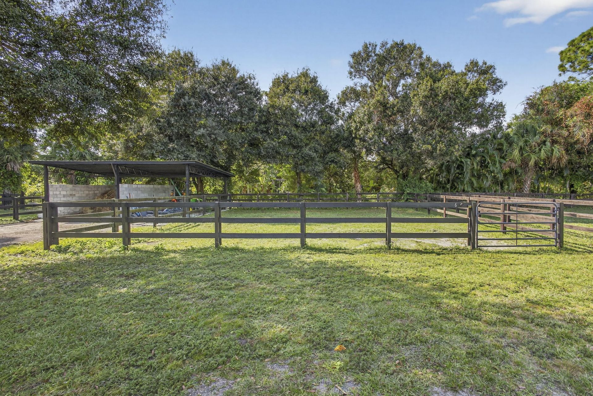 14346 Tripp Road N, Loxahatchee Groves, FL 33470 Photo