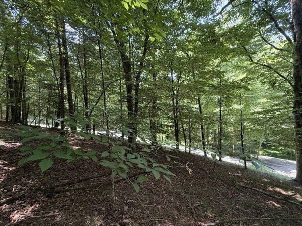 LT3469 Fir Lane , Ellijay, GA 30540