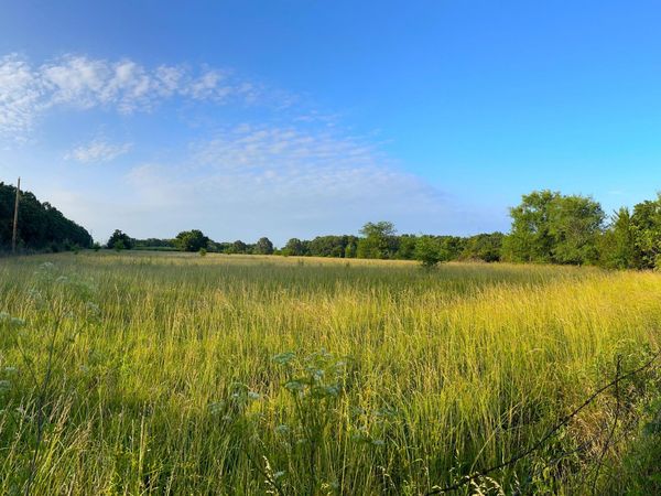 15245 S 425 Road , Jerico Springs, MO 64756