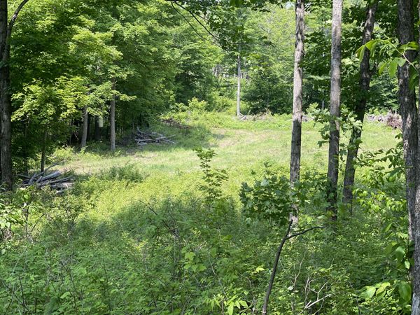 0 E M48, Raber, MI 49736