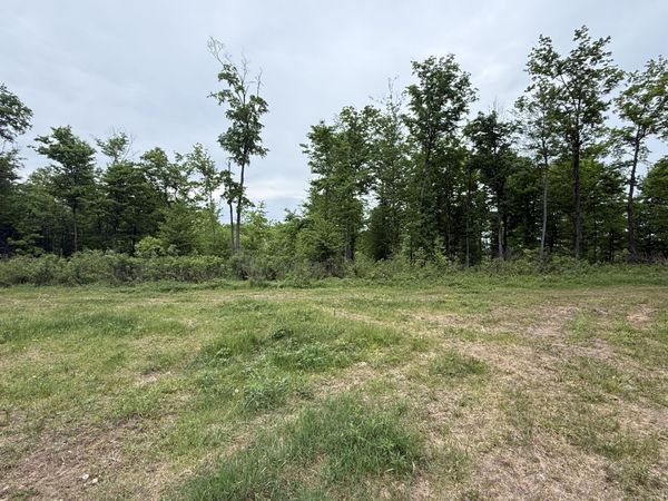 0 E M48, Raber, MI 49736