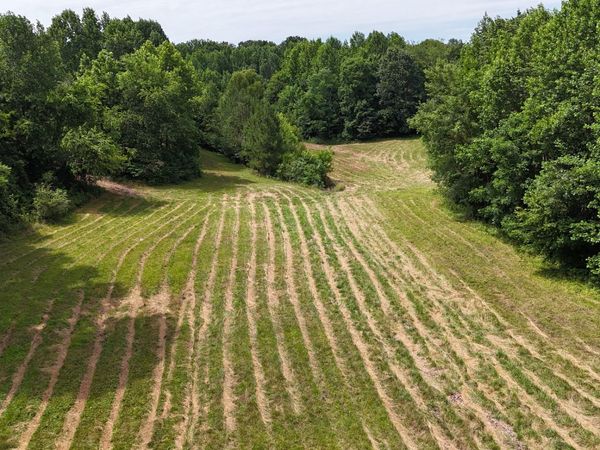 0 Sulphur Creek Road , Big Sandy, TN 38221
