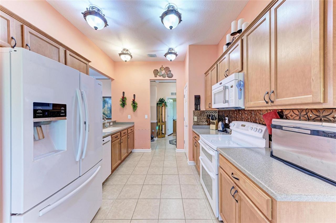 9882 50th Street Circle E, Parrish, FL 34219 Photo