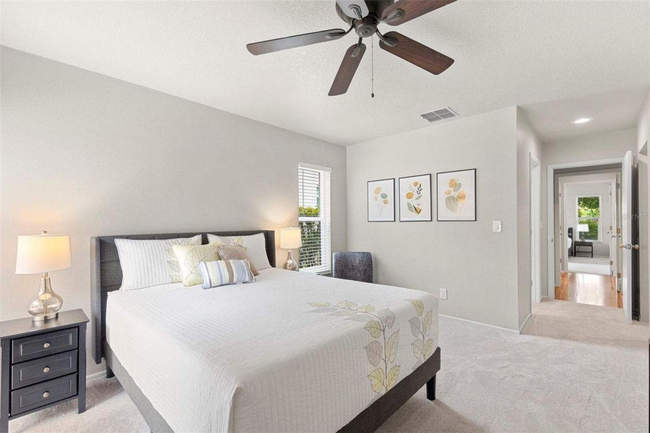 3028 Gregor Court, Palm Harbor, FL 34684 Photo