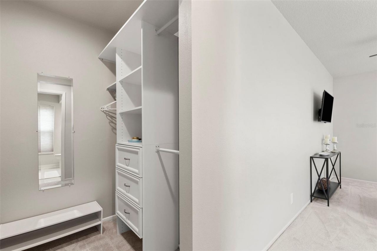 3028 Gregor Court, Palm Harbor, FL 34684 Photo