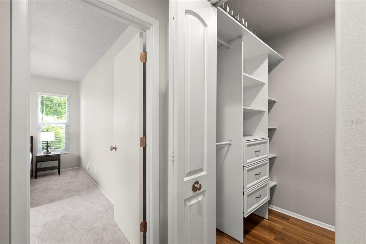 3028 Gregor Court, Palm Harbor, FL 34684 Photo