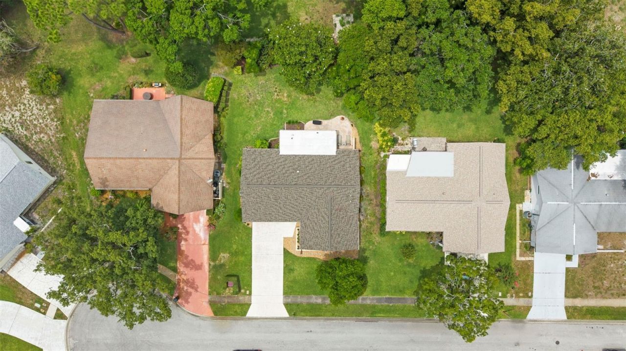 3028 Gregor Court, Palm Harbor, FL 34684 Photo