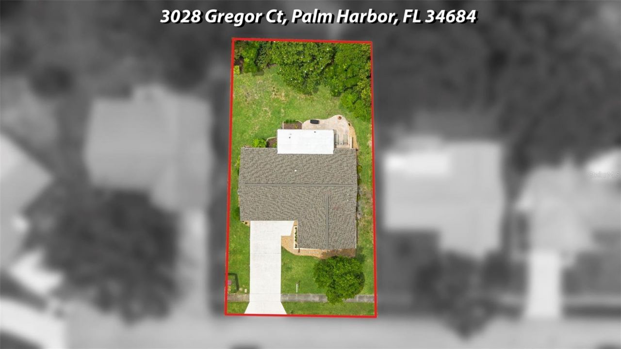 3028 Gregor Court, Palm Harbor, FL 34684 Photo
