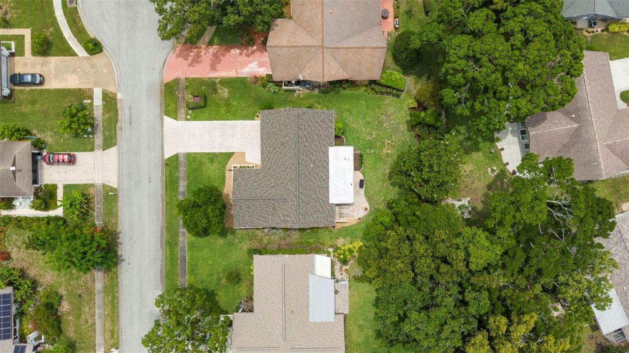 3028 Gregor Court, Palm Harbor, FL 34684 Photo