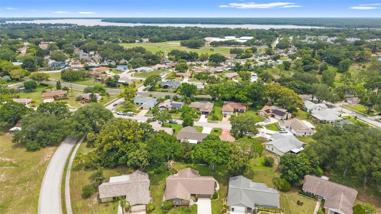 3028 Gregor Court, Palm Harbor, FL 34684 Photo