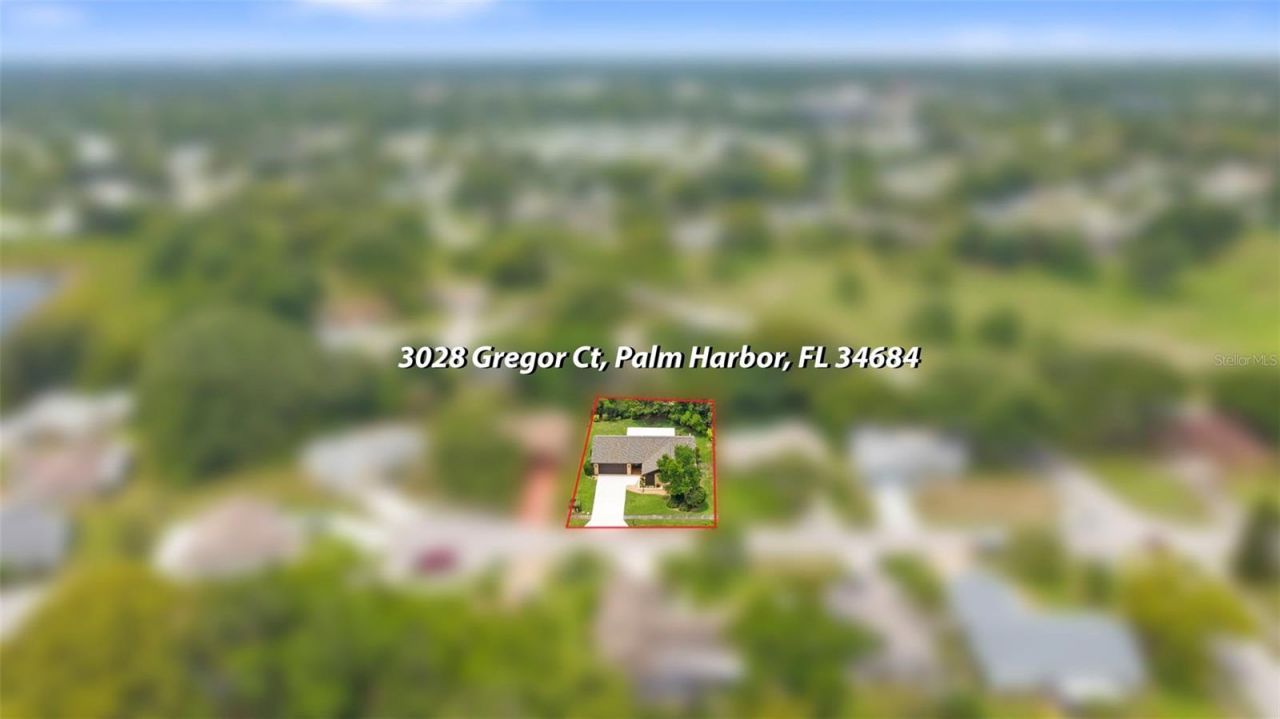 3028 Gregor Court, Palm Harbor, FL 34684 Photo