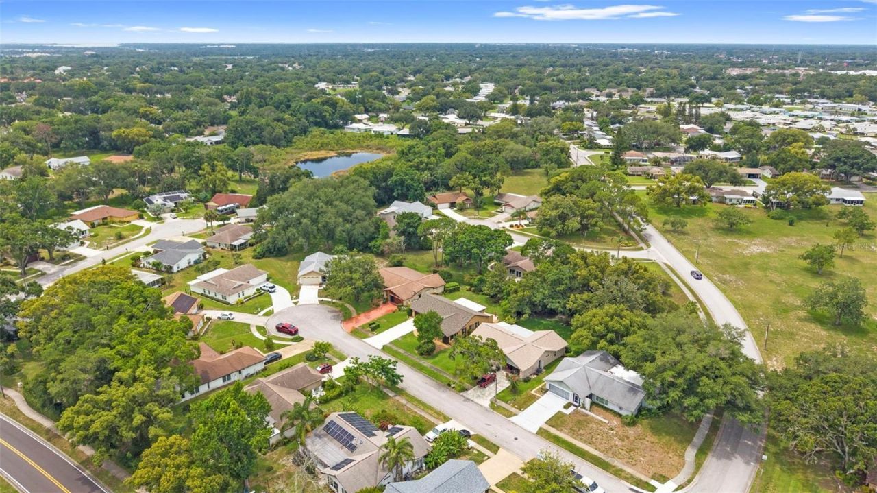 3028 Gregor Court, Palm Harbor, FL 34684 Photo