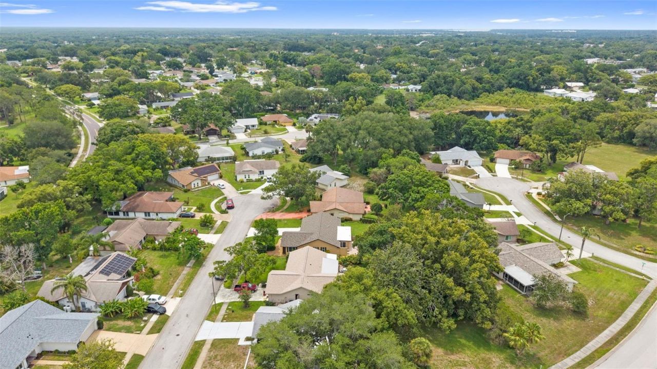 3028 Gregor Court, Palm Harbor, FL 34684 Photo