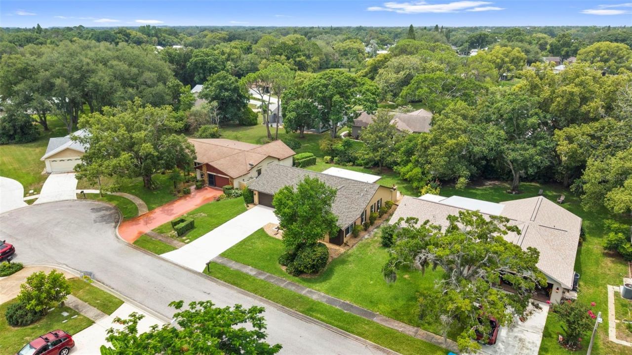 3028 Gregor Court, Palm Harbor, FL 34684 Photo