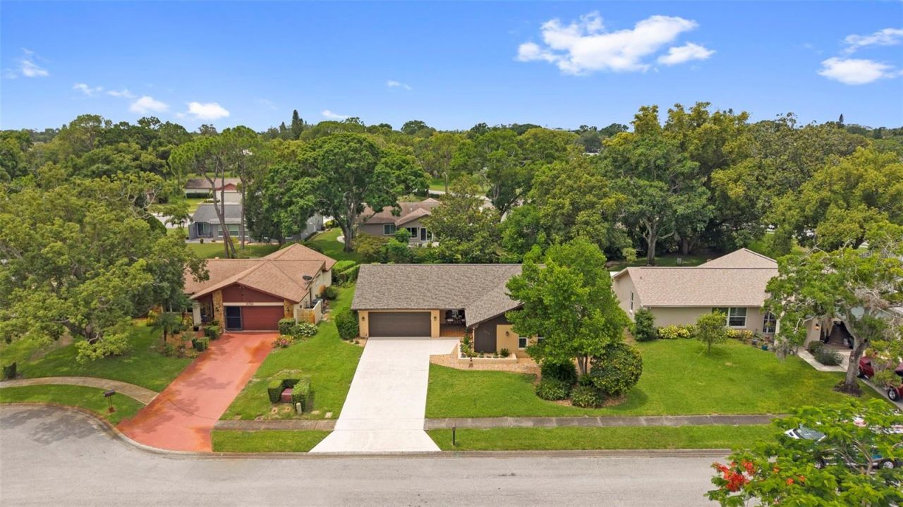 3028 Gregor Court, Palm Harbor, FL 34684 Photo
