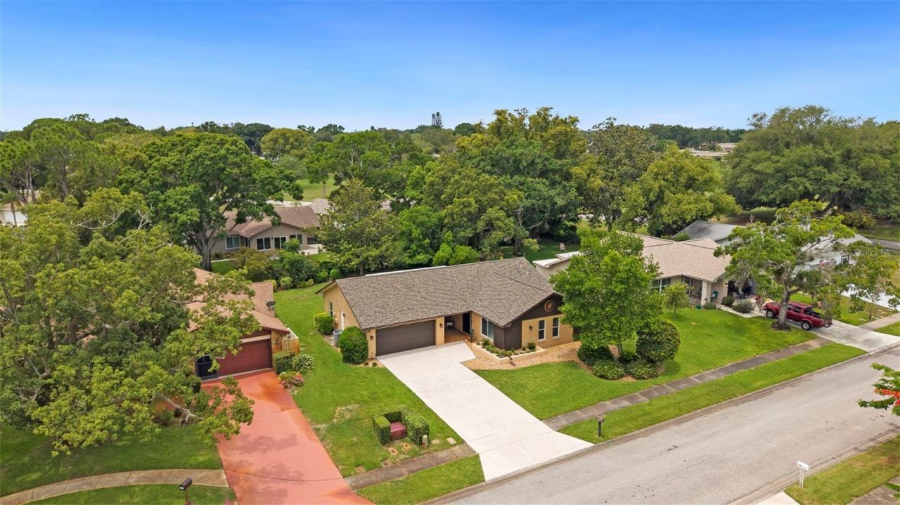3028 Gregor Court, Palm Harbor, FL 34684 Photo