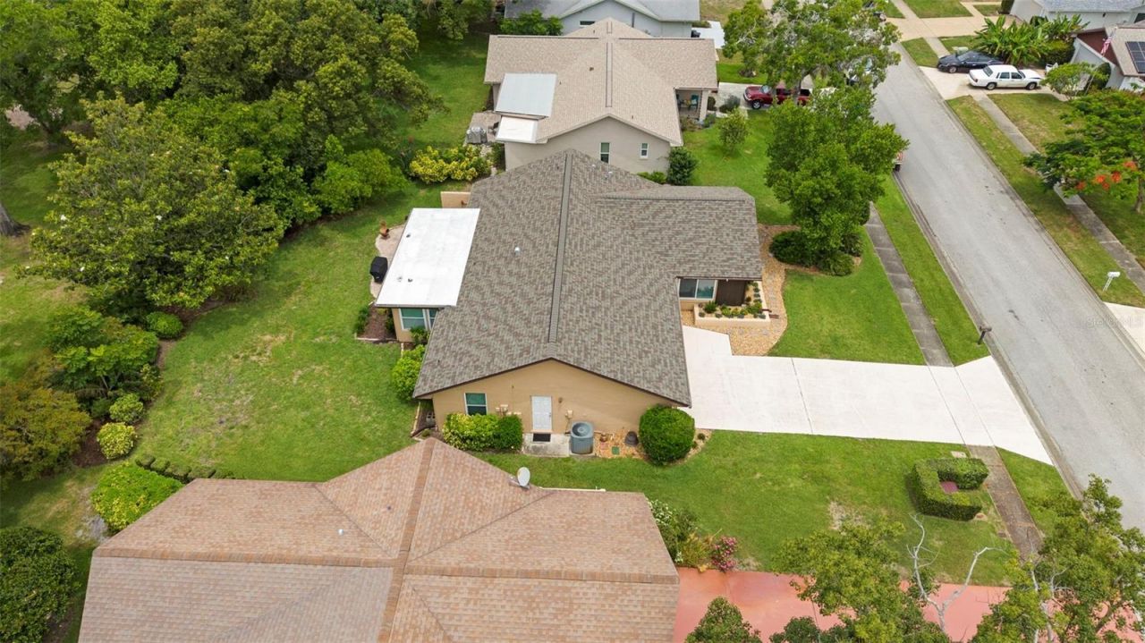3028 Gregor Court, Palm Harbor, FL 34684 Photo