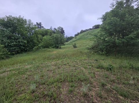 Main Photo