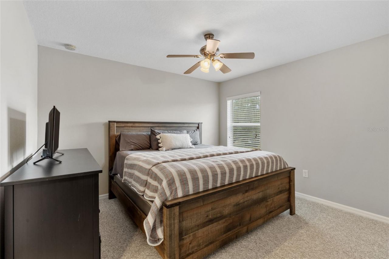 4419 Wildstar Circle , Wesley Chapel, FL 33544 Photo