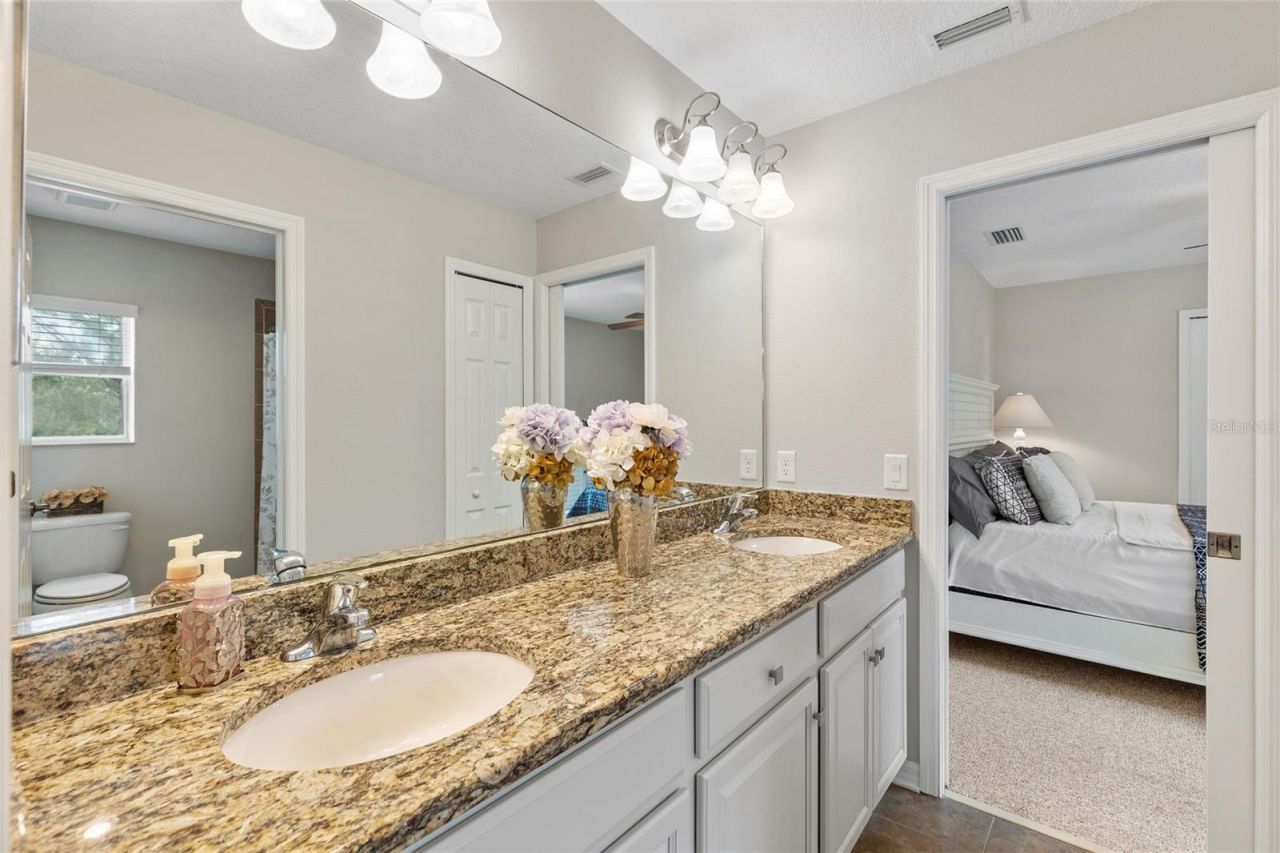 4419 Wildstar Circle , Wesley Chapel, FL 33544 Photo