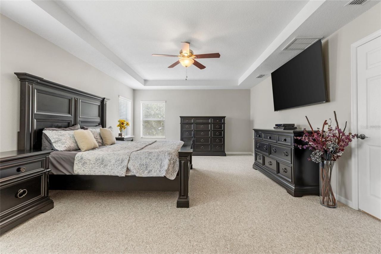 4419 Wildstar Circle , Wesley Chapel, FL 33544 Photo