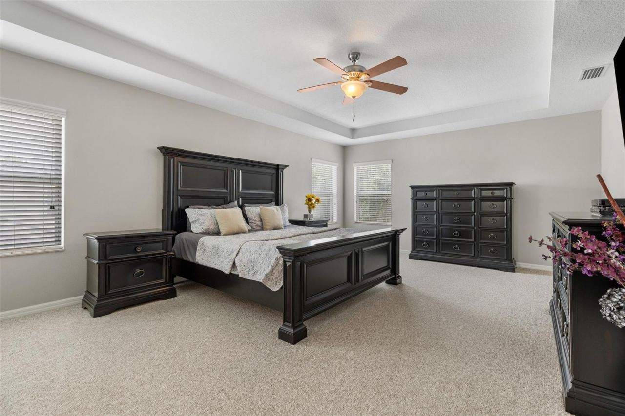 4419 Wildstar Circle , Wesley Chapel, FL 33544 Photo