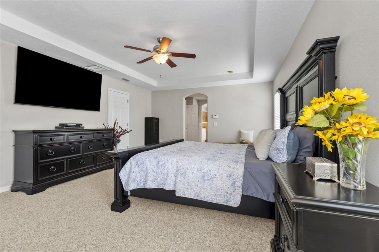 4419 Wildstar Circle , Wesley Chapel, FL 33544 Photo
