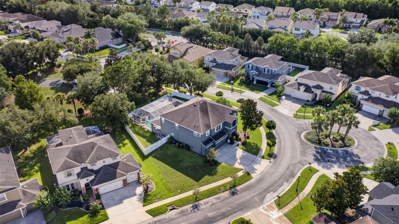 4419 Wildstar Circle , Wesley Chapel, FL 33544 Photo